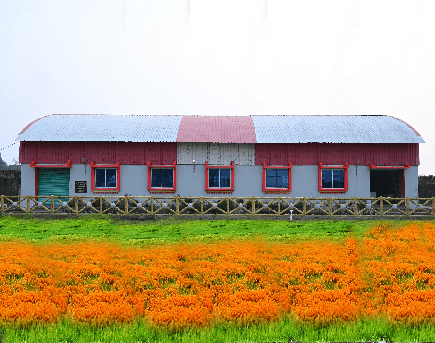 VIT Campus with Beautiful Flower Garden